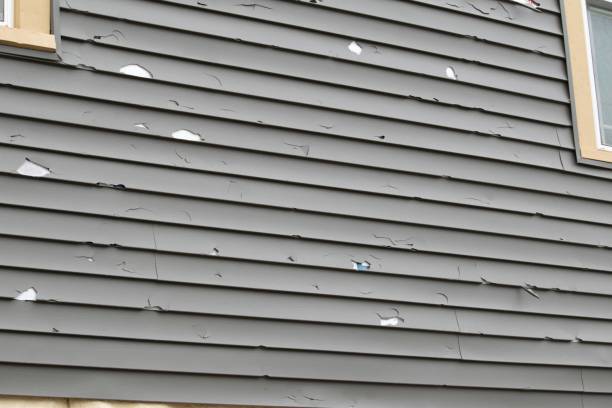 Best Siding for New Construction  in USA